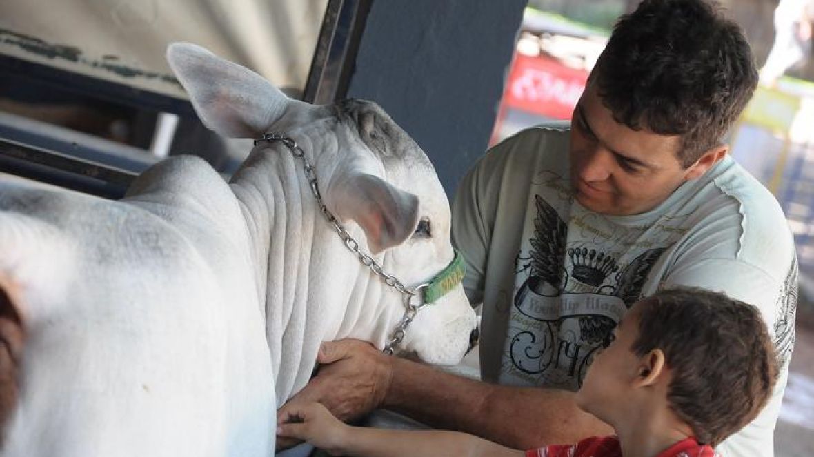 Público prestigia primeiro dia da 78ª ExpoZebu