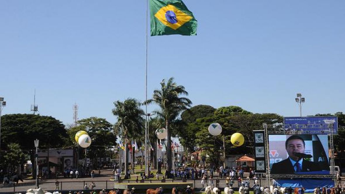 Presidente da ABCZ enfatiza profissionalismo e importância do setor pecuário