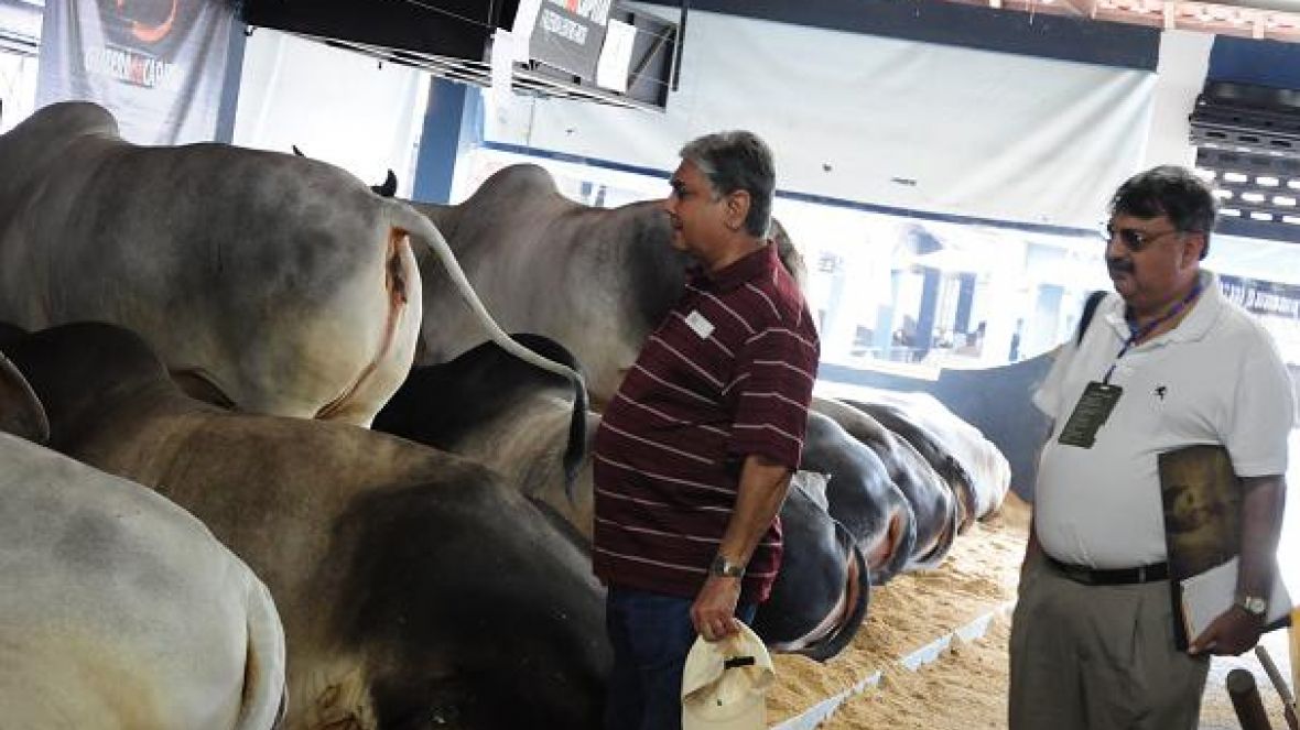 Mais de 350 estrangeiros visitam 78ª ExpoZebu