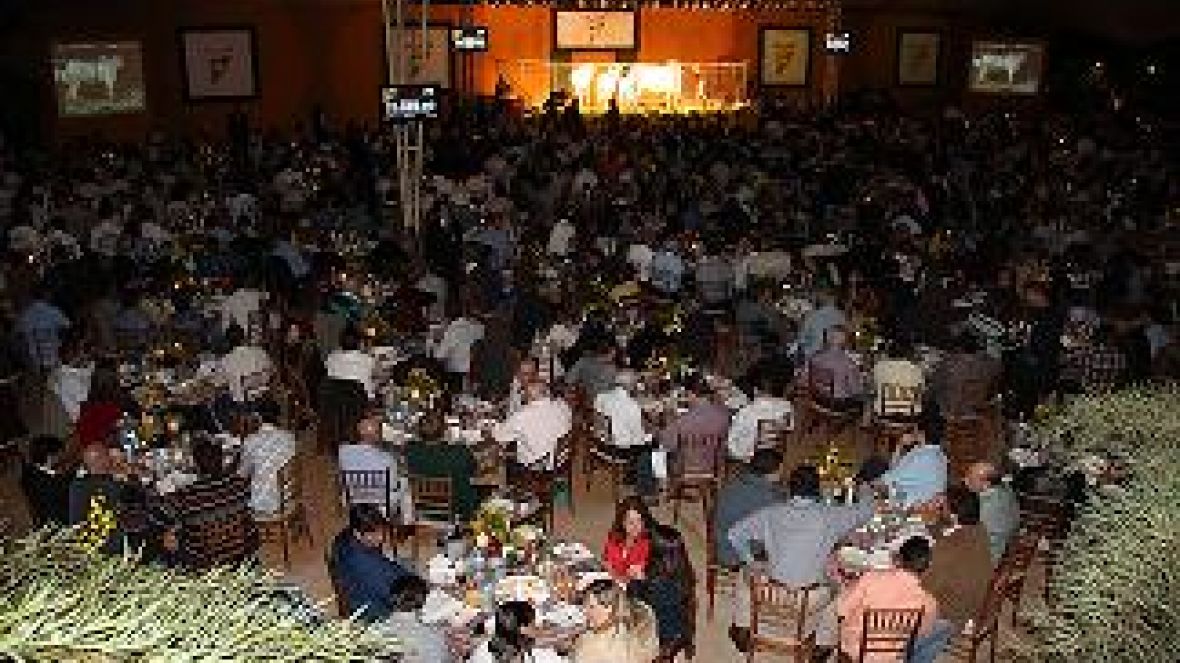 Agenda de leilões da ExpoZebu será encerrada hoje