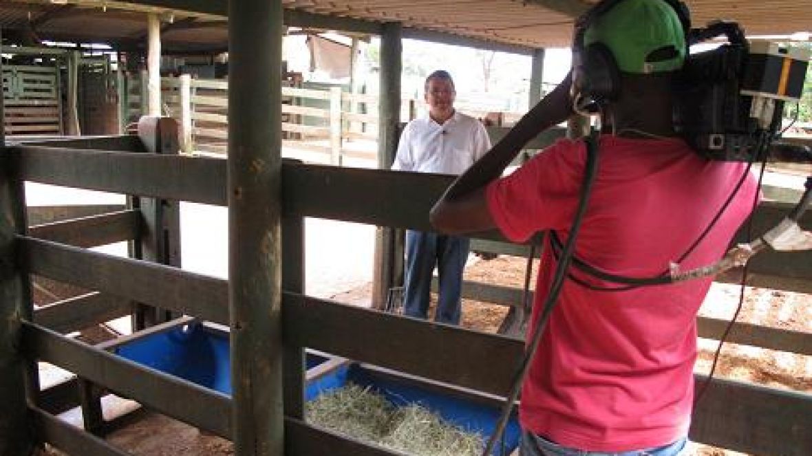 Agrocurso ?Manejo de Bovinos? estreia no próximo sábado
