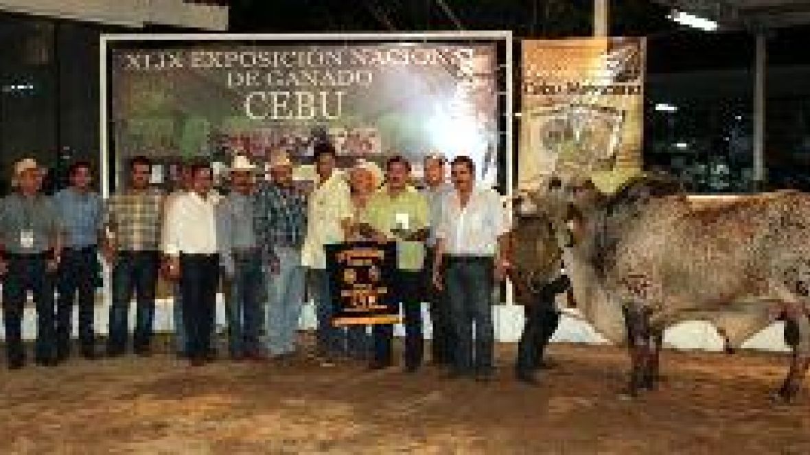 Exposição mexicana aposta em jurado brasileiro para definir campeões