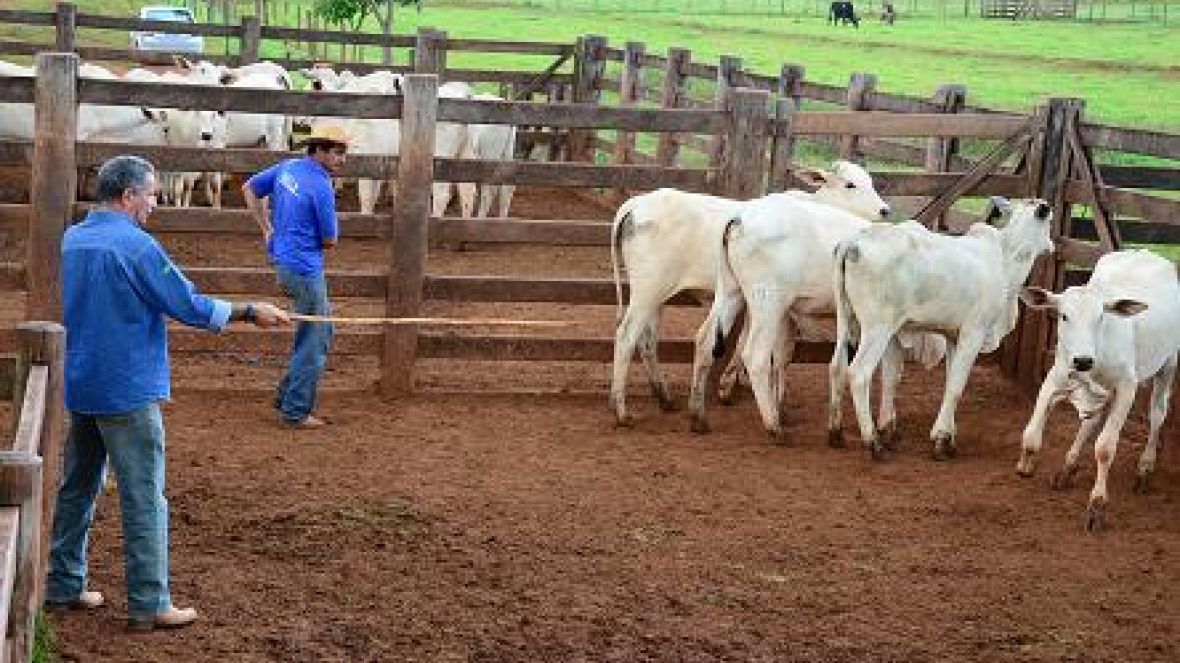 ABCZ promove 1º Curso de Capacitação de Supervisores do PMGZ