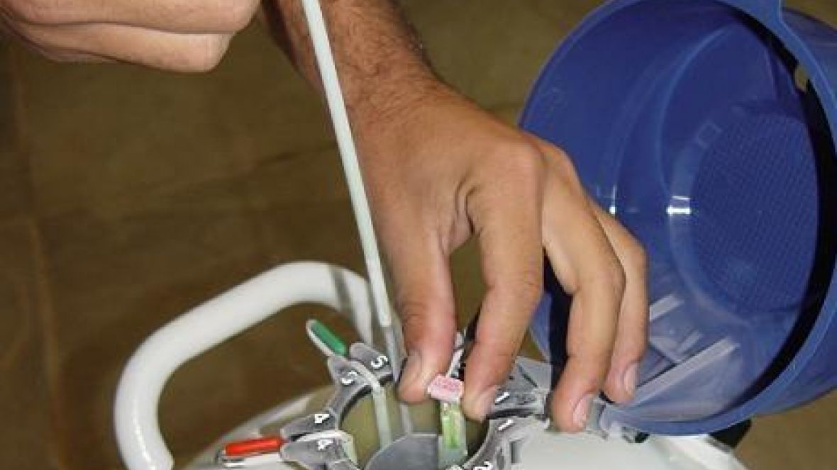 Agrocurso apresenta aulas sobre inseminação artificial neste fim de semana 