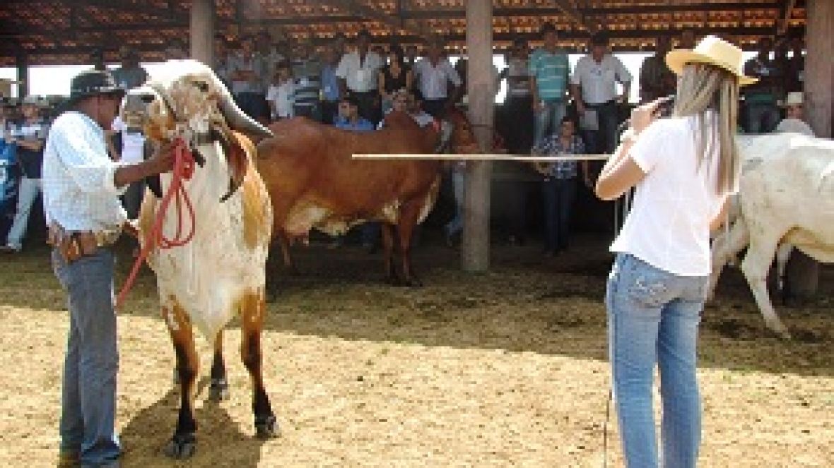PMGZ Leite reúne 150 em Dia de Campo de Rondônia