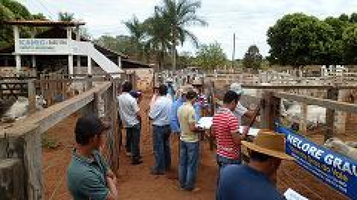 Calendário do Pró-Genética em Minas traz oito feiras em junho