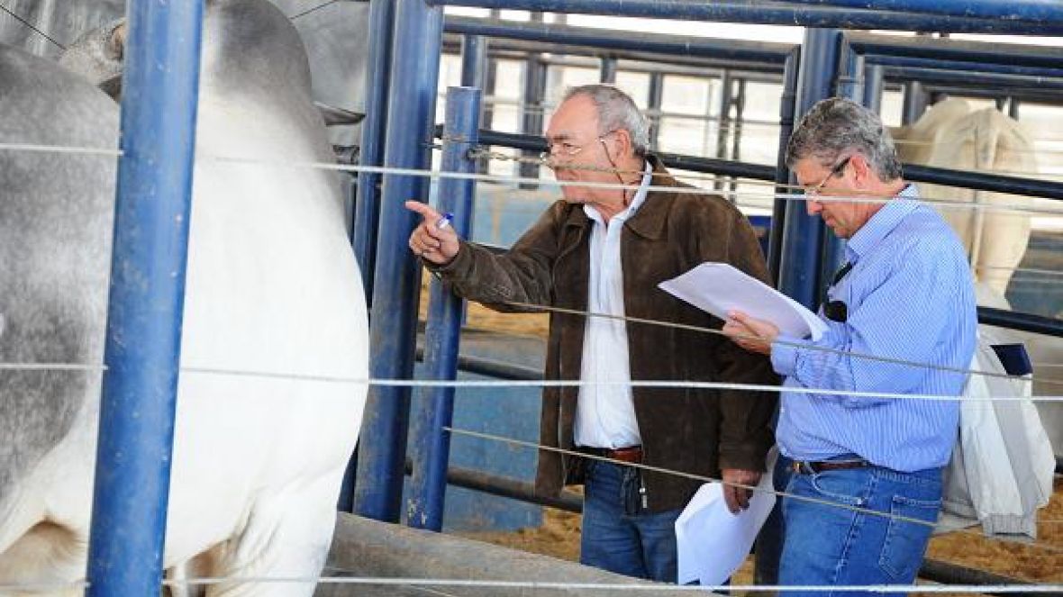 ABCZ divulga programação técnica da ExpoGenética 2012