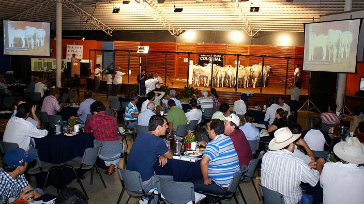 ExpoGenética terá 13 leilões oficializados