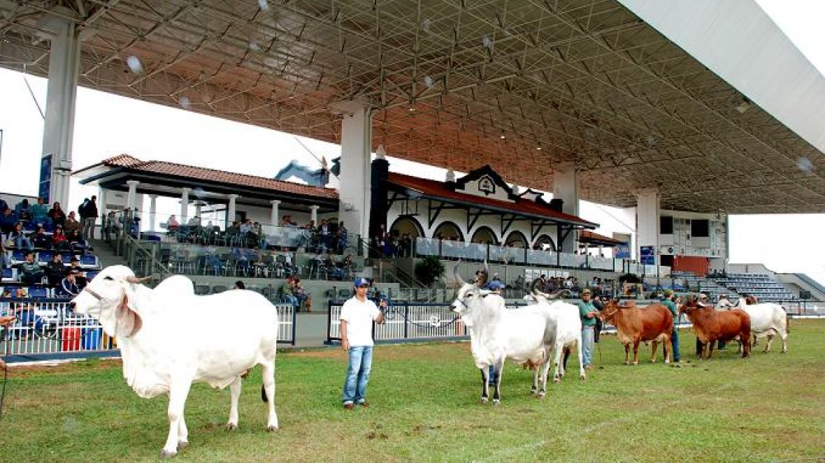 ExpoGenética: Inscrição de matrizes para prêmio ?Cláudio Sabino? já estão abertas