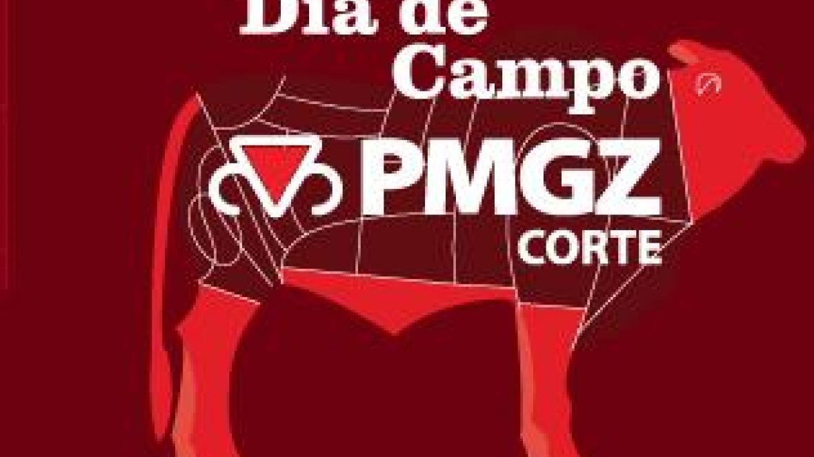 ABCZ e Uberbrahman promovem dia de campo do PMGZ em Minas Gerais