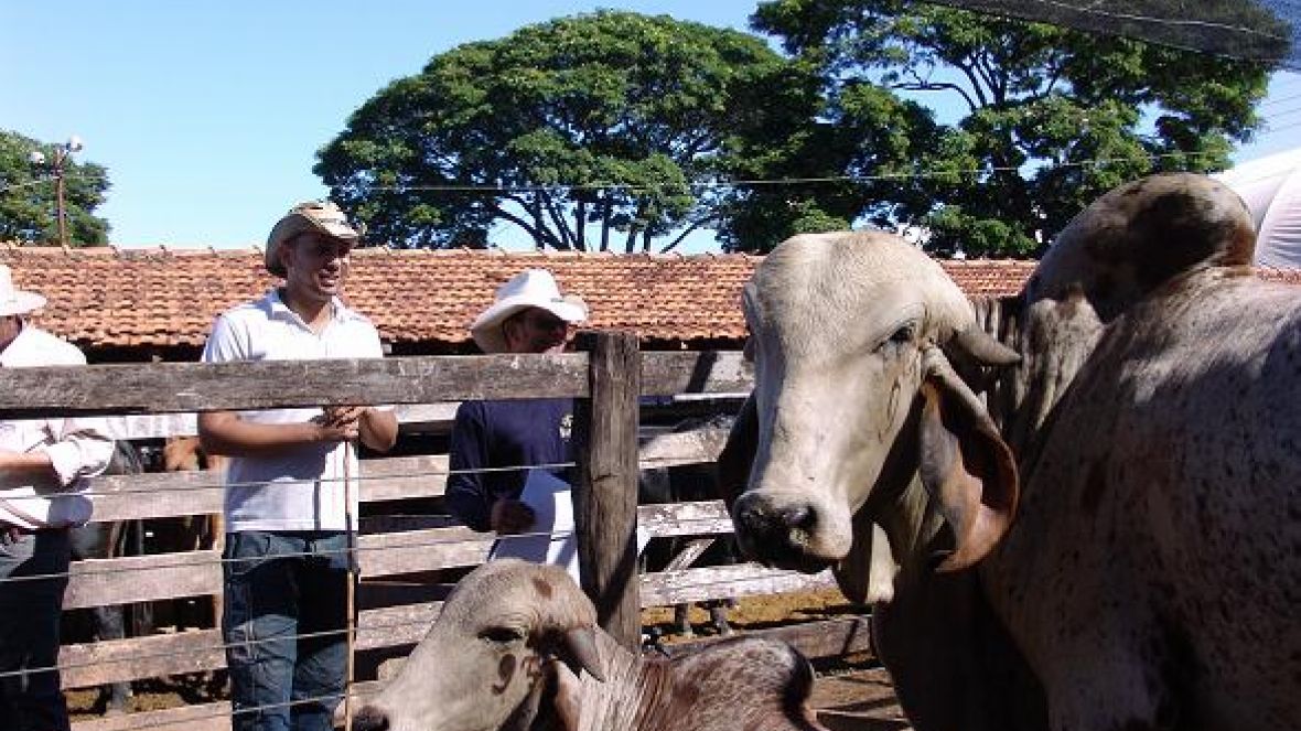 ABCZ faz apresentação do Pró-Genética durante reunião da ASBRAER