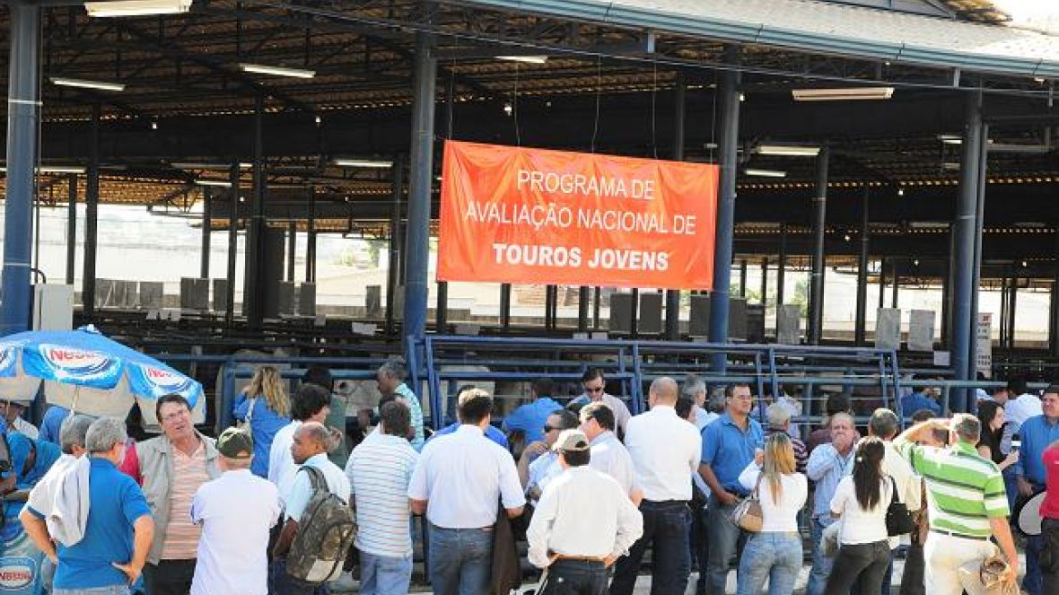 ExpoGenética: Estado de Sergipe será representado pela primeira vez no PNAT