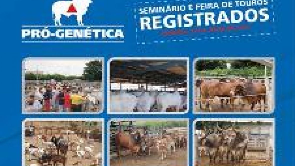 Pró-Genética: Agricultura familiar de Minas terá mais de 2 mil touros até o fim do ano
