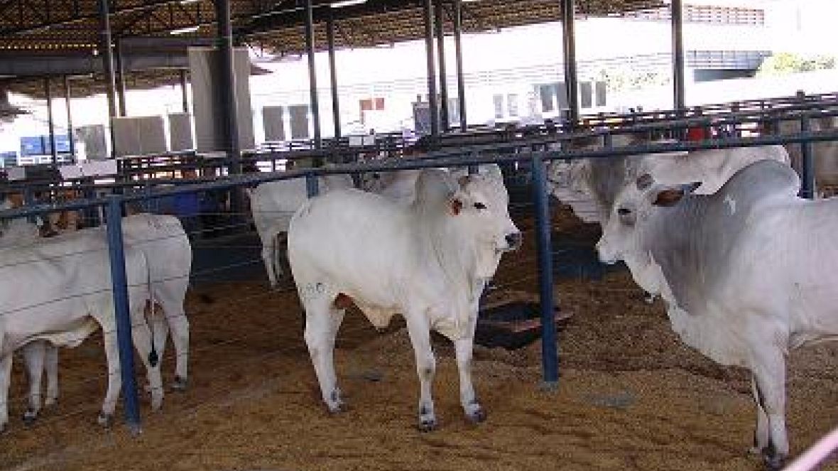 Inscrições para PNAT 2012 vão até quinta