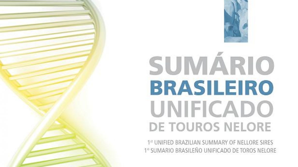 Sumário Unificado da raça nelore já pode ser consultado pela  internet
