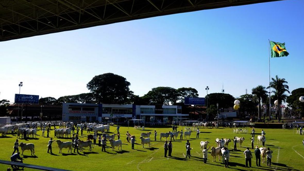 ABCZ divulga data oficial da 79ª ExpoZebu 