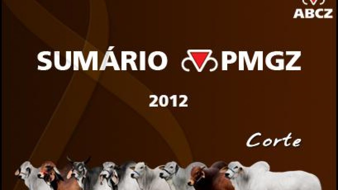 PMGZ disponibiliza versão desktop do Sumário 2012