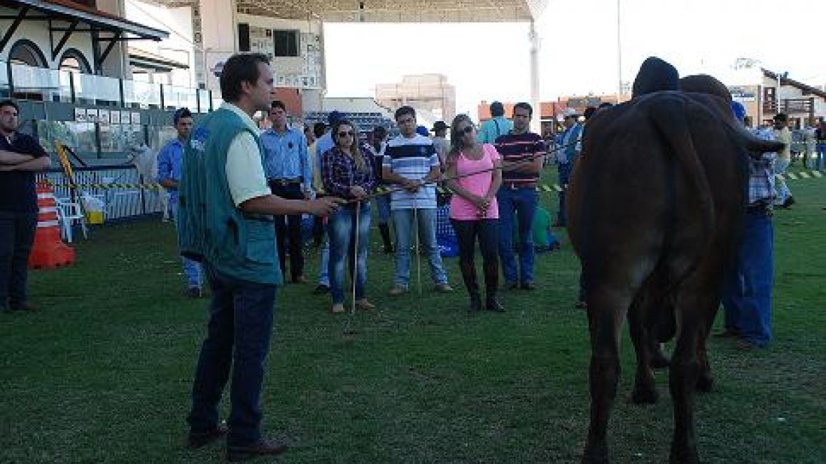 Inscrições abertas para o 67º Curso de Julgamento da ABCZ