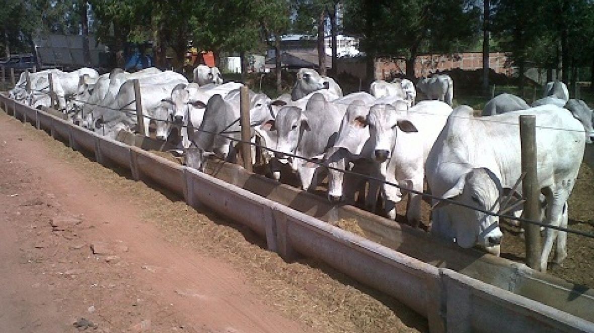 ABCZ acompanha finalização de Prova de Desempenho