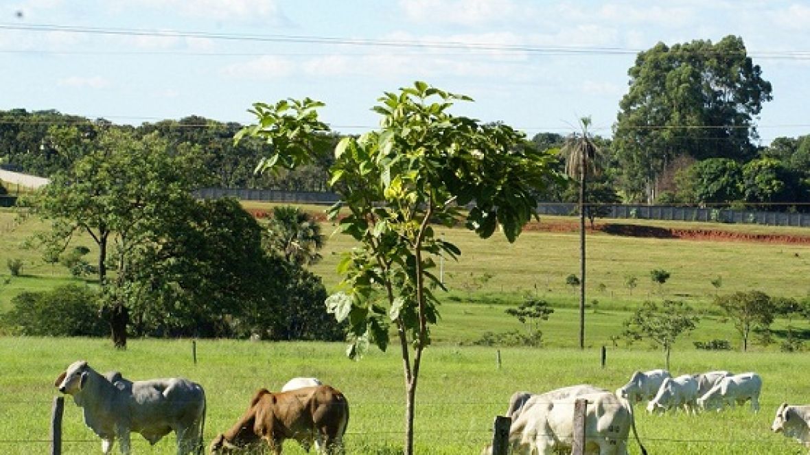 Estância Zebu recebe o nome de Orestes Prata Tibery Júnior