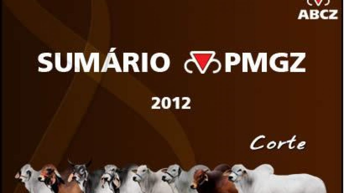 Versão completa do PMGZ ganha novas funcionalidades e atrai adeptos