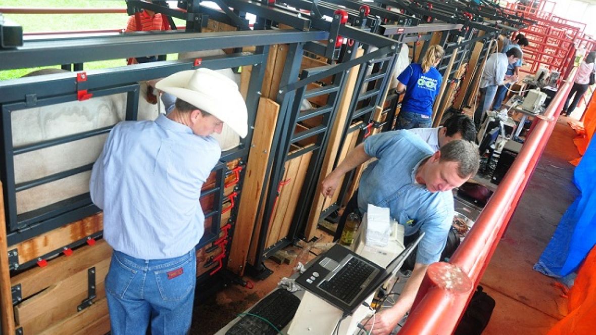 ABCZ apoia novos cursos de certificação de técnicos de Ultrassonografia