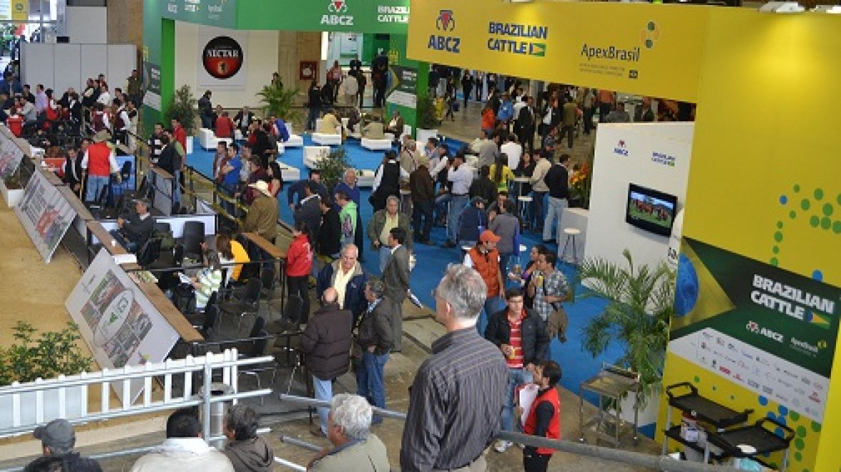 Projeto Brazilian Cattle registra boom de exportações em 2012