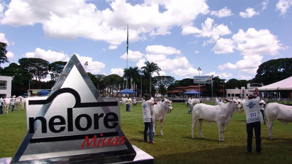 Expoinel Minas abre calendário de exposições no Parque Fernando Costa