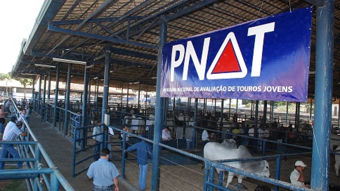 PNAT abre inscrições e registra balanço positivo em três edições