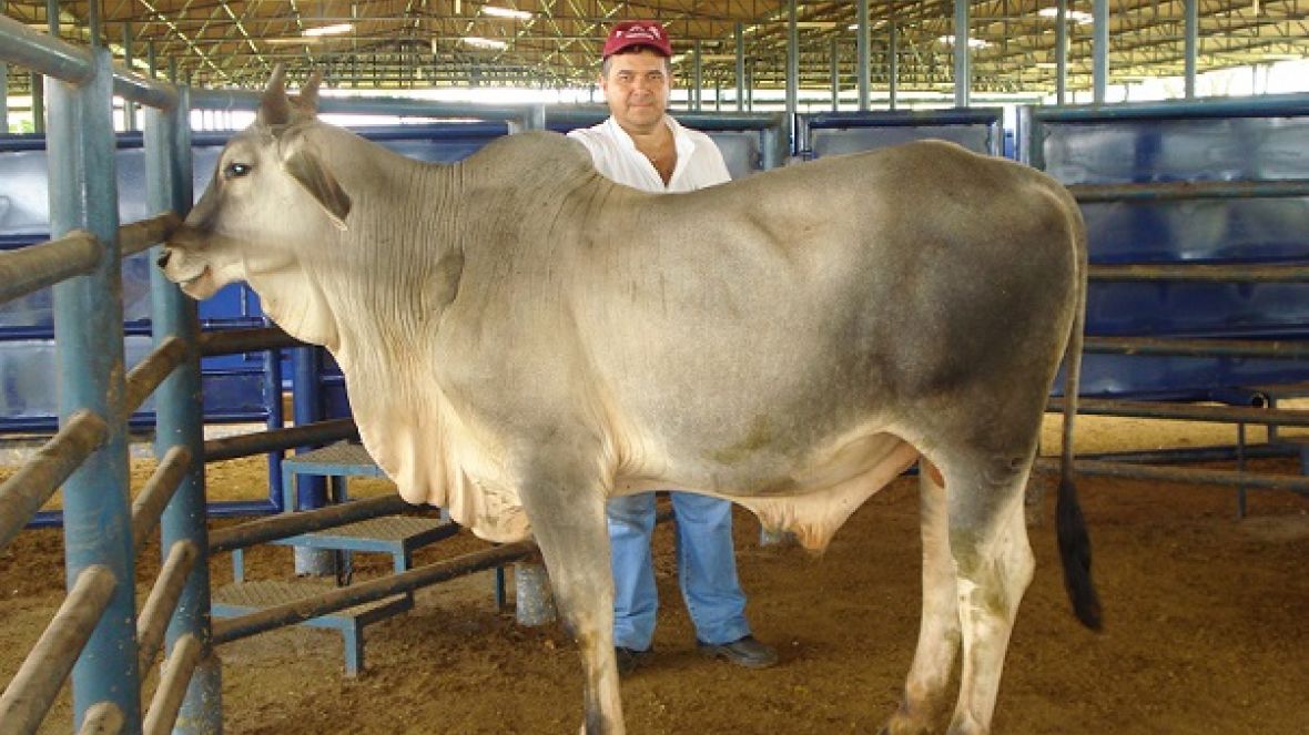 PGPs da Estância ?Orestes Prata Tibery Jr.? entram na reta final