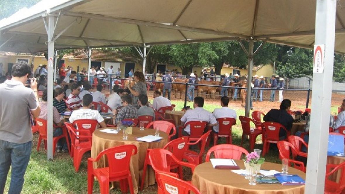 Dia de Campo do PMGZ ressalta qualidades da raça sindi