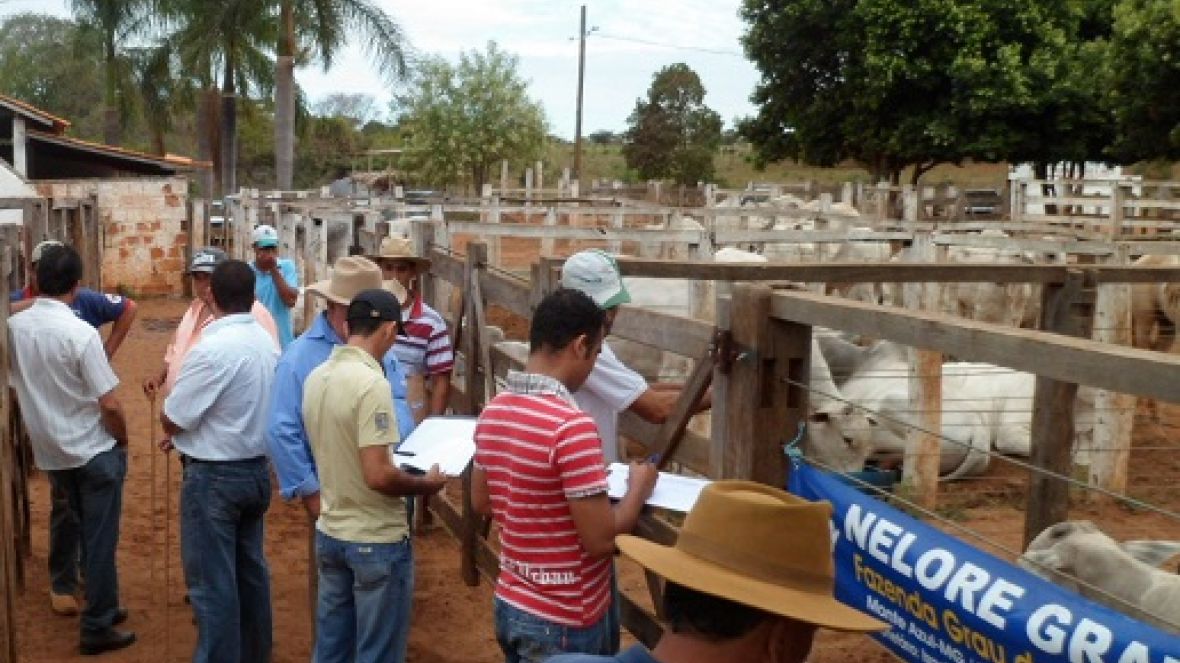 Rio Grande do Norte prestes a sediar primeira feira do Pró-Genética