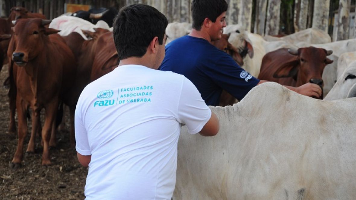 Atividades práticas são priorizadas pelo curso de Zootecnia da FAZU 