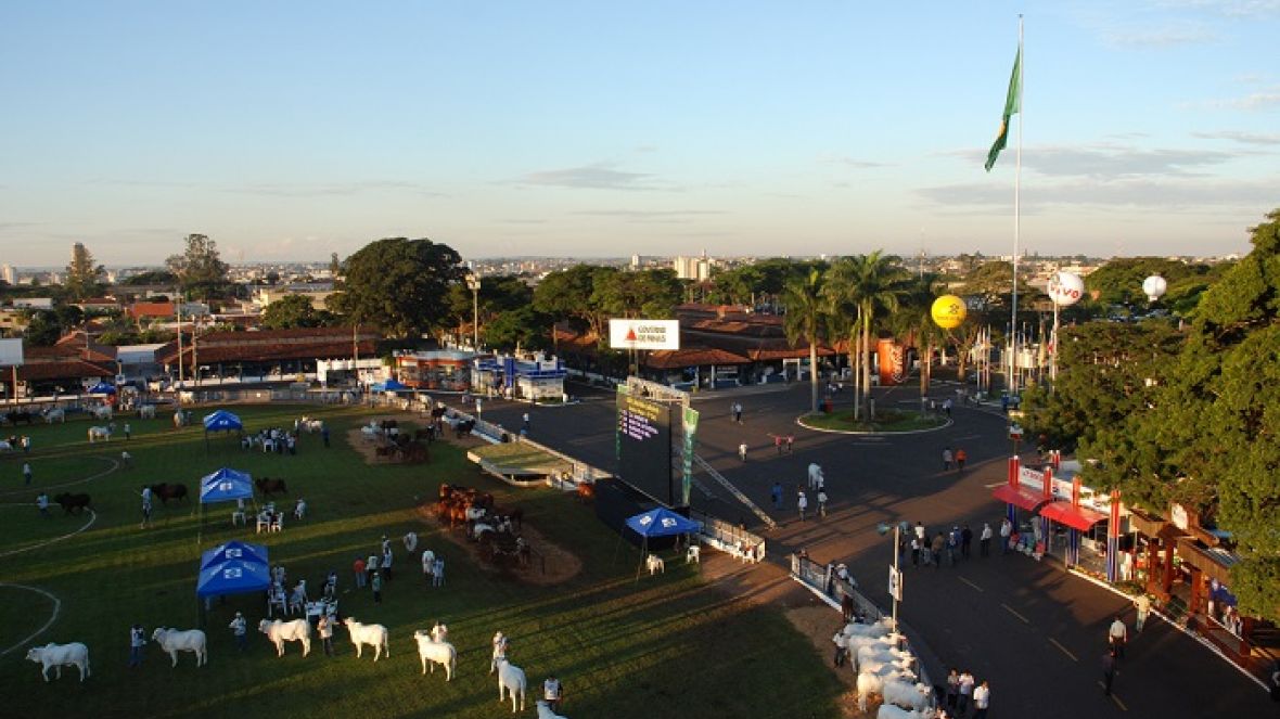 Parque Fernando Costa tem licença ambiental aprovada pelo COPAM