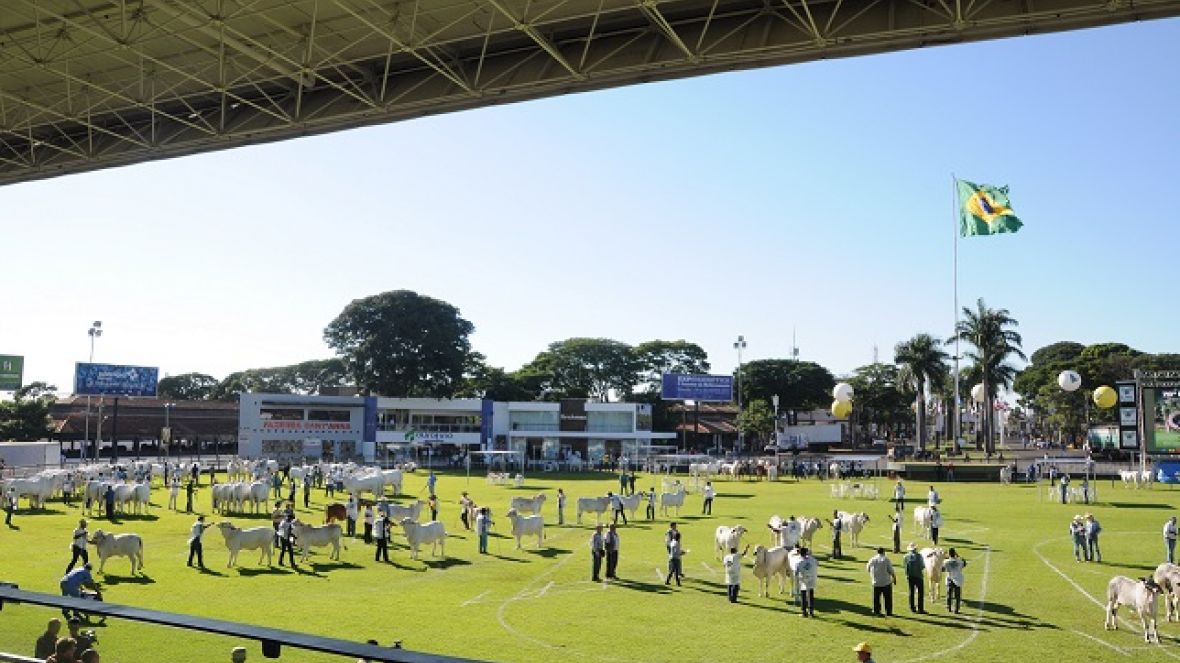 Seleção fundamentada em pistas de julgamento será tema de fórum