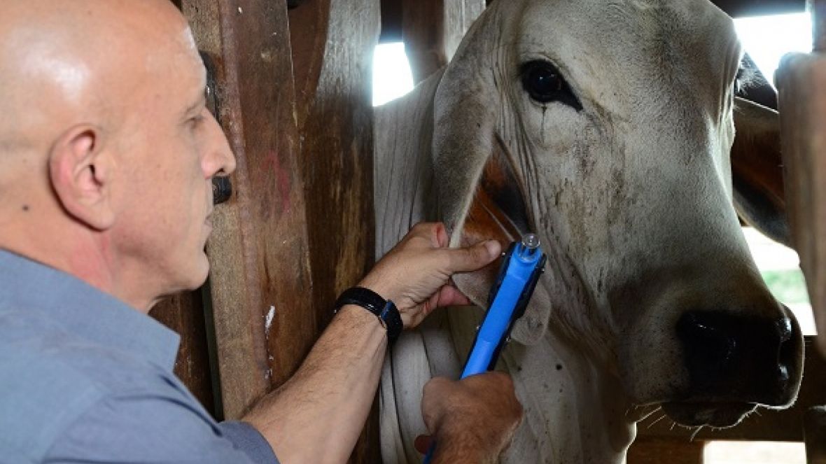 ABCZ treinará técnicos para dar início a Banco de DNA