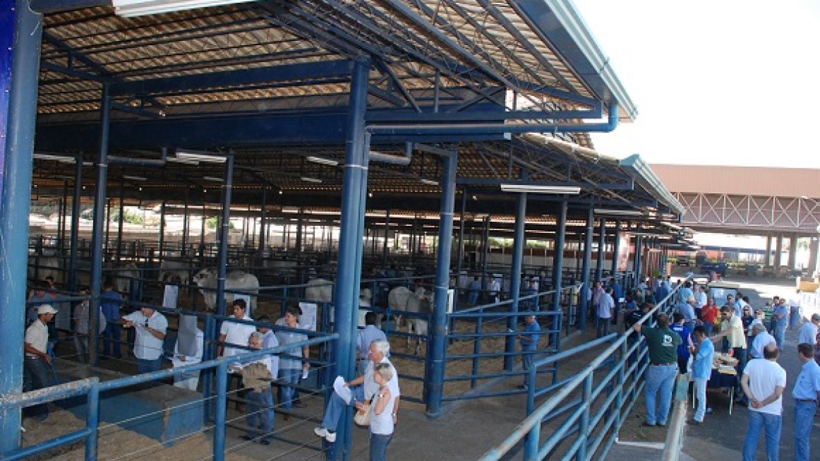 PNAT 2013 tem mudanças em regulamento