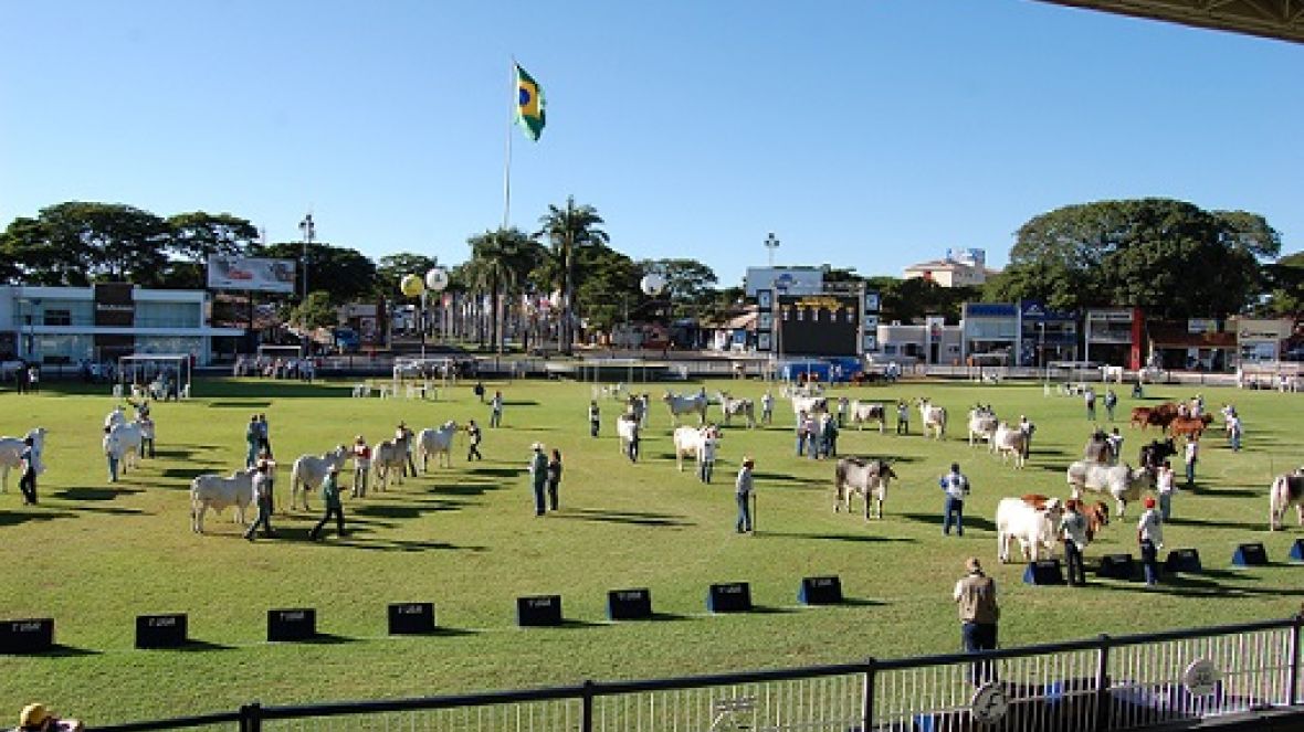 Definidos os jurados de raças da ExpoZebu 2013 
