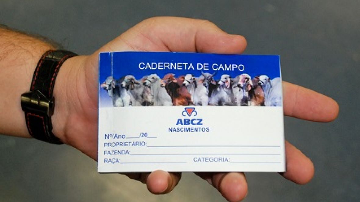ABCZ disponibilizará gratuitamente caderneta para Escrituração Zootécnica