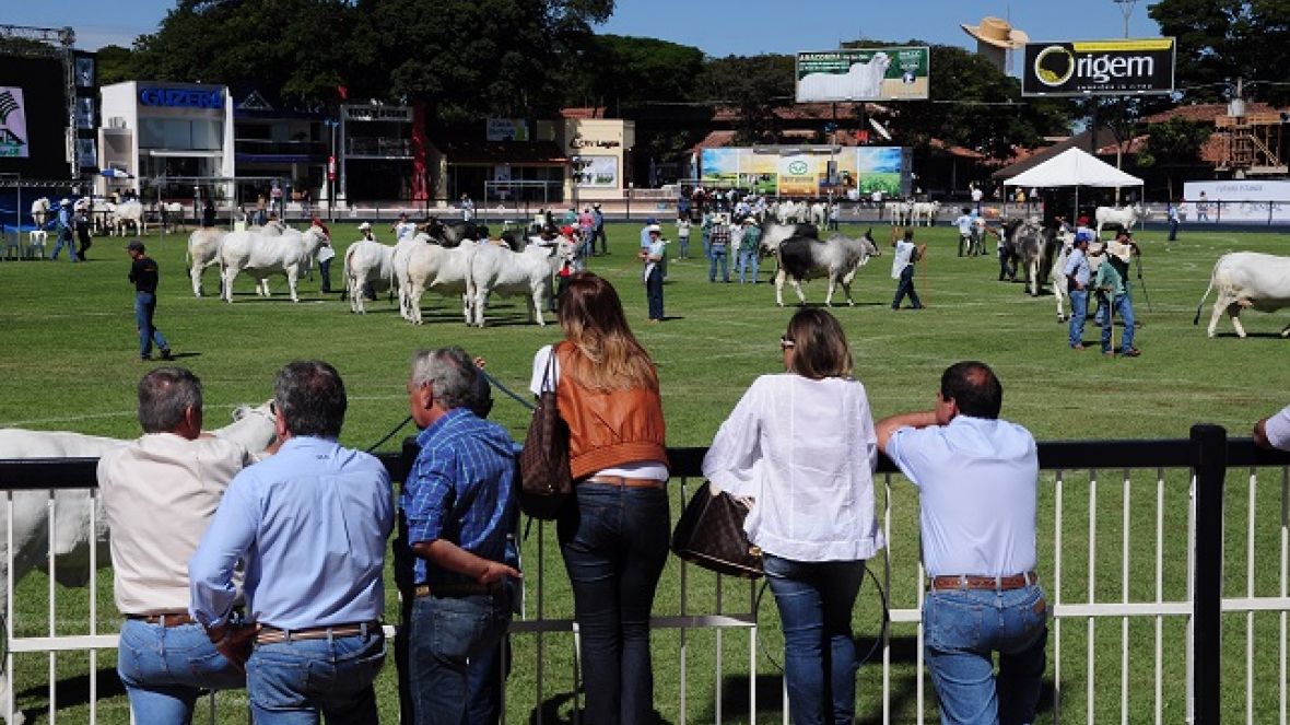 Associações promocionais promovem ações na ExpoZebu