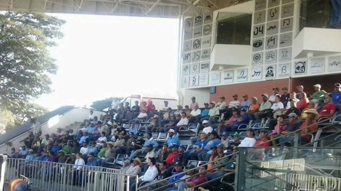 Tratadores recebem instruções sobre atuação na ExpoZebu