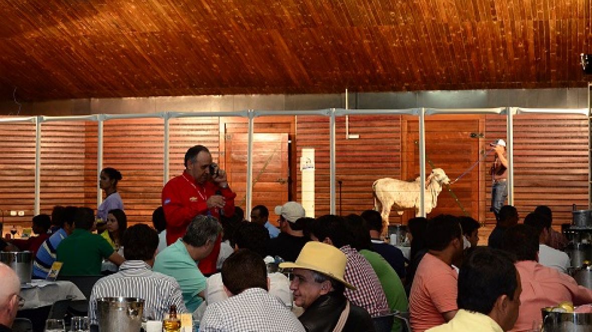 Remates da 79ª ExpoZebu comercializam mais de R$9,5 milhões