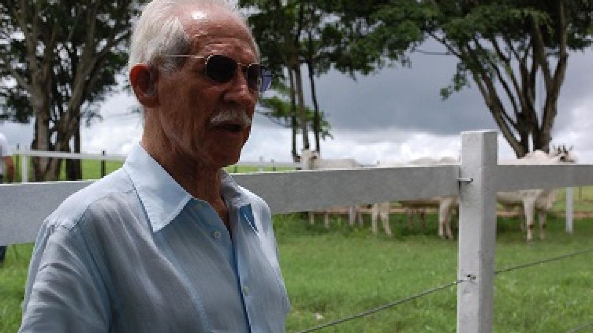 Raça nelore perde importantes selecionadores de Alagoas