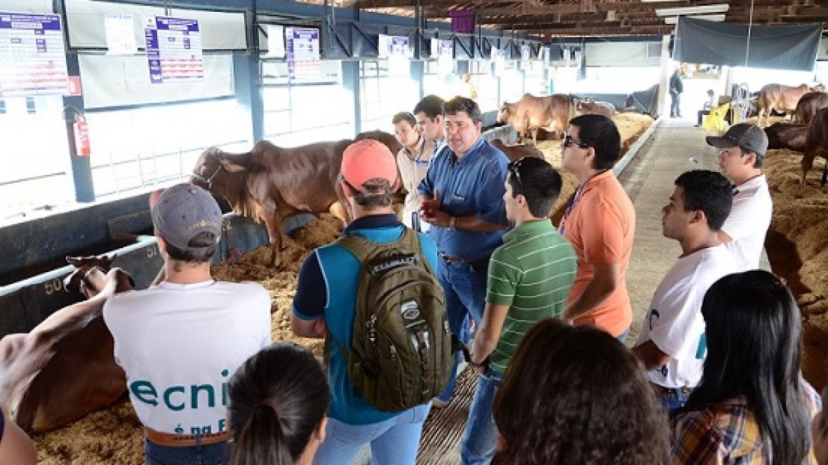 Alunos da FAZU assistem aulas na 79ª ExpoZebu 