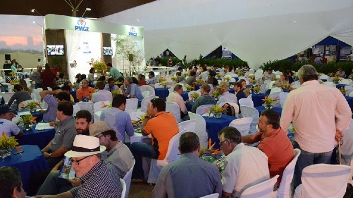 ExpoZebu já tem grandes campeãs do Concurso Leiteiro