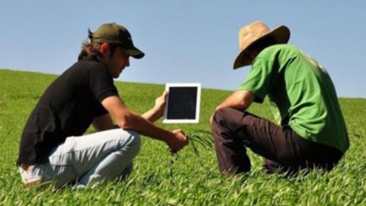 Recursos de Custeio Antecipado disponíveis no BB