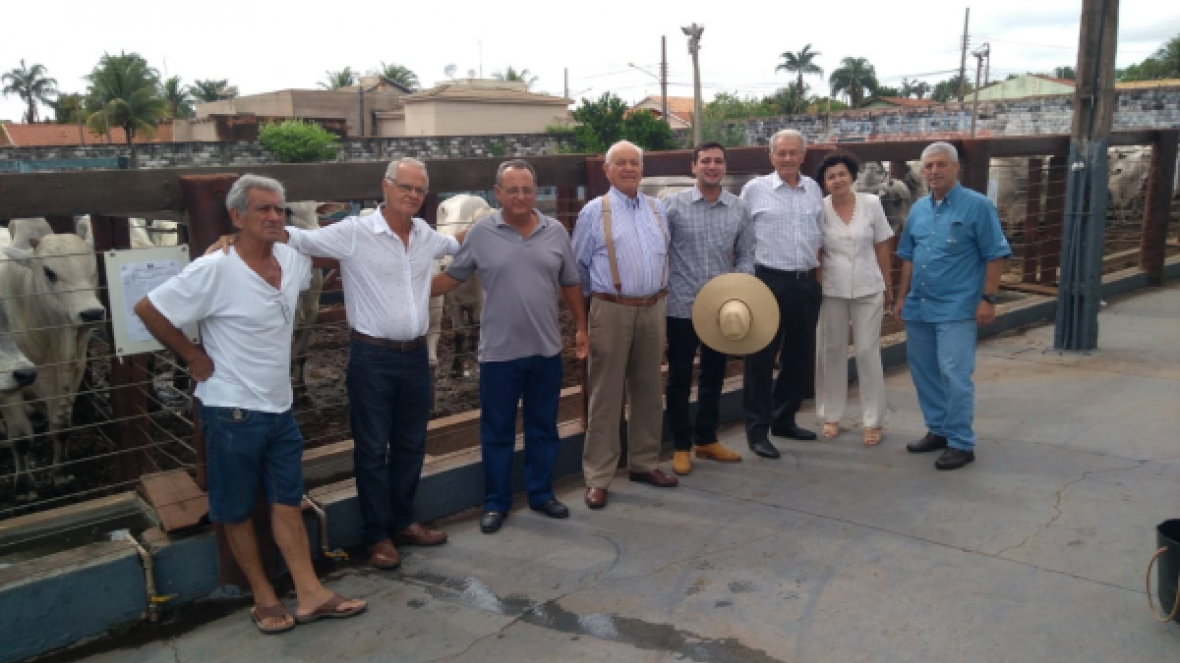 Feira do Pró-Genética movimenta MS com oferta de animais com avaliação genética positiva