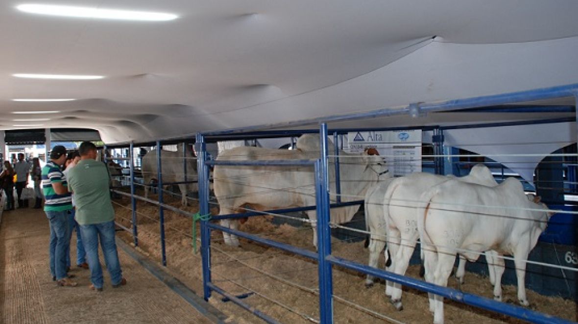 ABCZ abre inscrições para ExpoGenética 2013