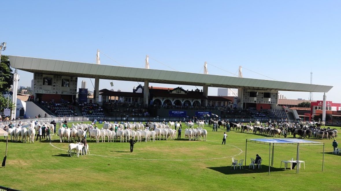 Fórum sobre seleção em pista será transmitido pela internet