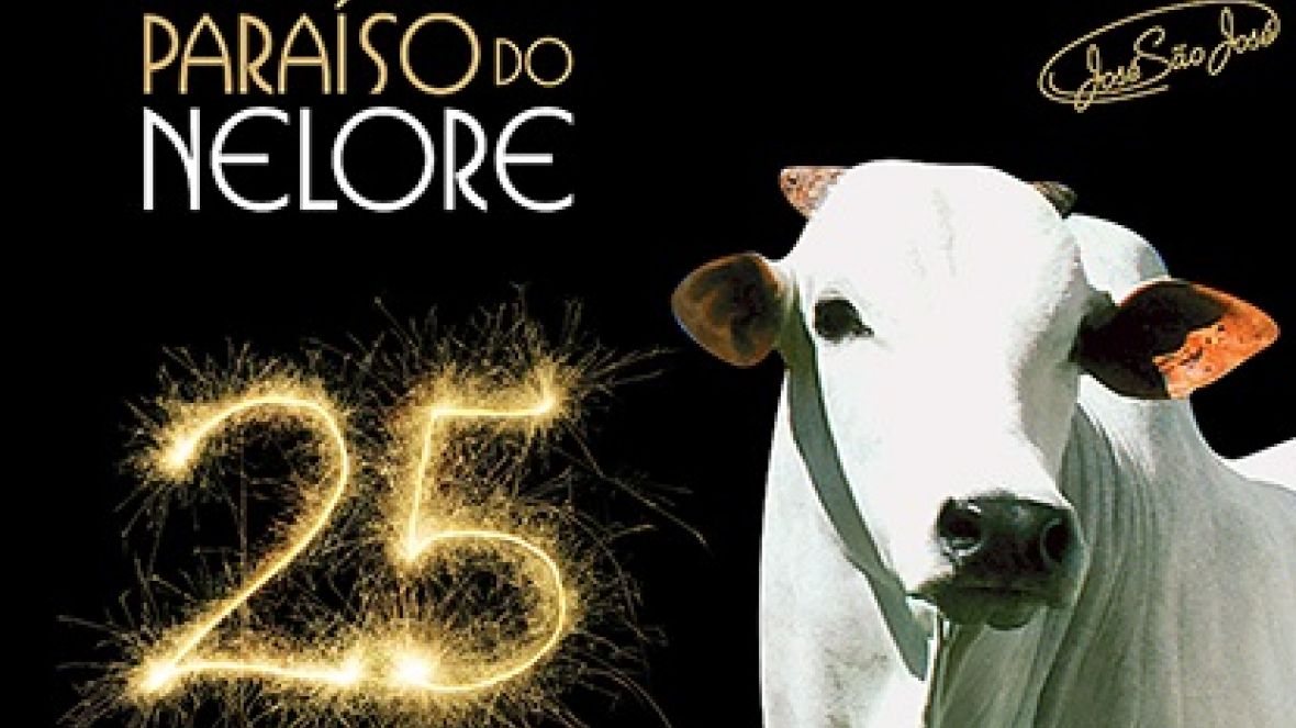 PMGZ oficializa leilão de nelore no Tocantins